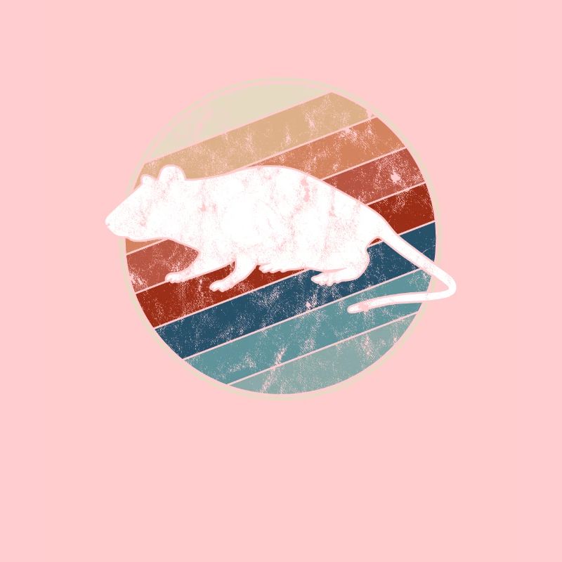Mouse Retro