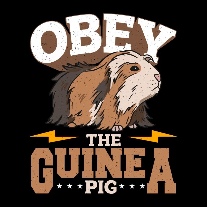 Cochon d’Inde Obéir à l’amoureux des animaux du cochon d’Inde Cavy