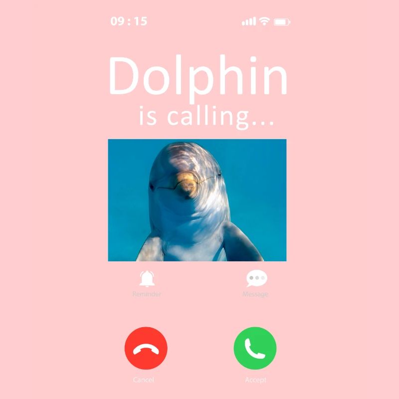 Dolphin Phone Display Dolphin Is