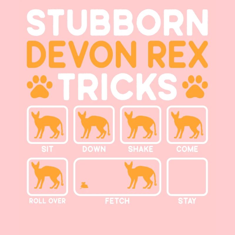 Stubborn Tricks Devon Rex Cat