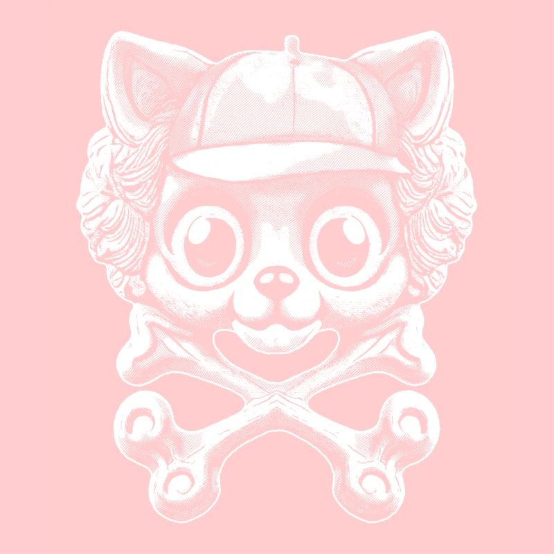 Kitten Adventure: Pirate Style & Bone Shirt