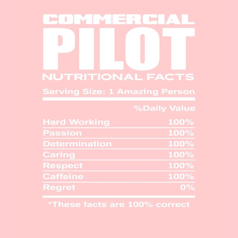 Kommerzieller Pilot Piloten Beruf