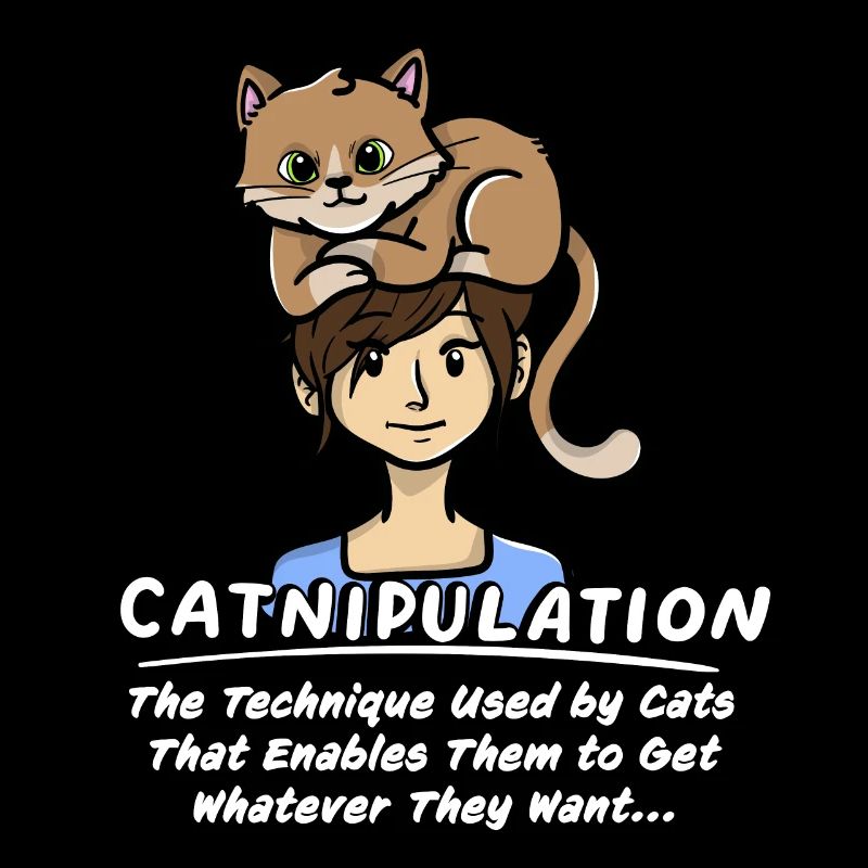 Technique De Catnipulation De Chaton Amant Chat Mignon