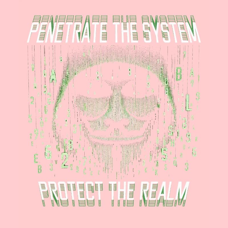 Penetrationstester Penetrate the system