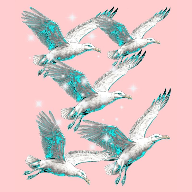 Maritime, Seagulls, Seagulls, Seabirds