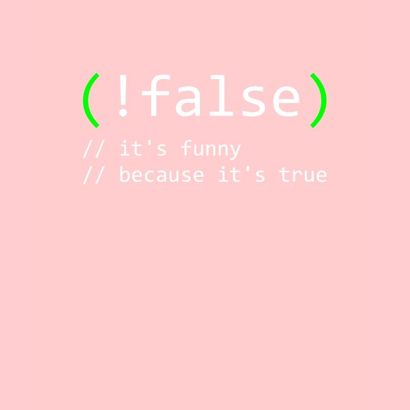 Programmierer Humor false true funny Nerd Geek