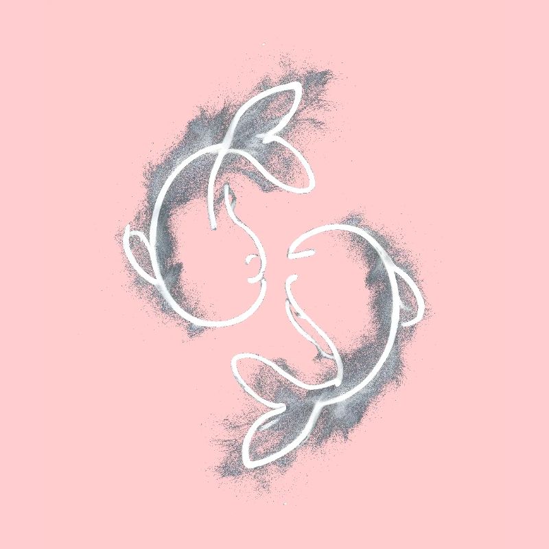 two fish