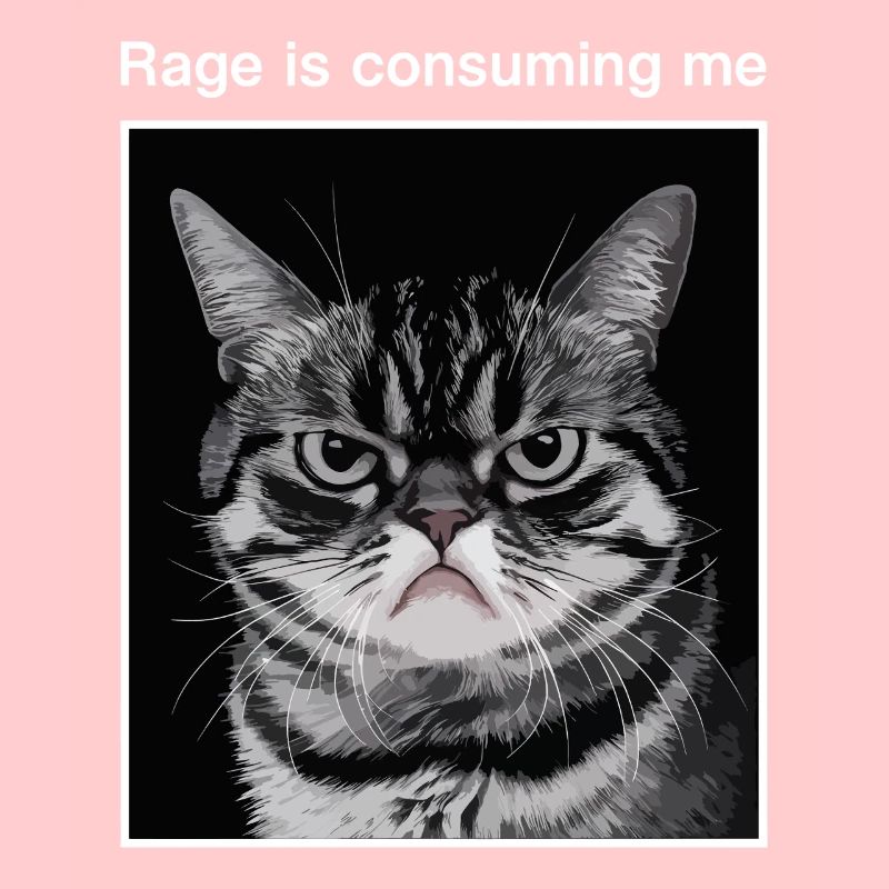 La rage me consume Chat