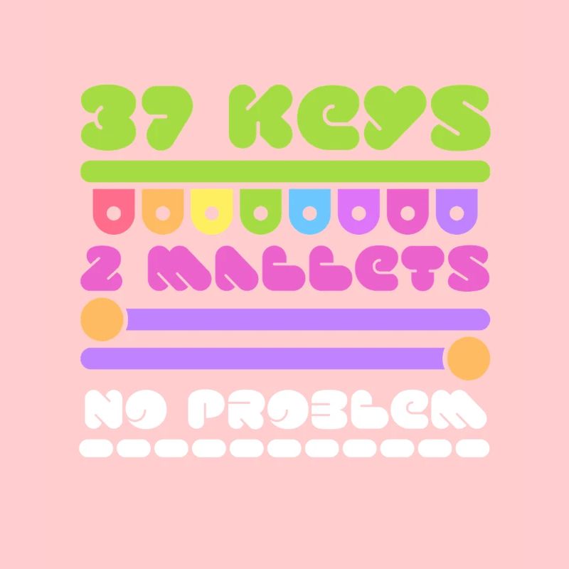 Vibraphone marimba 37 touches 2 maillets pas de problème