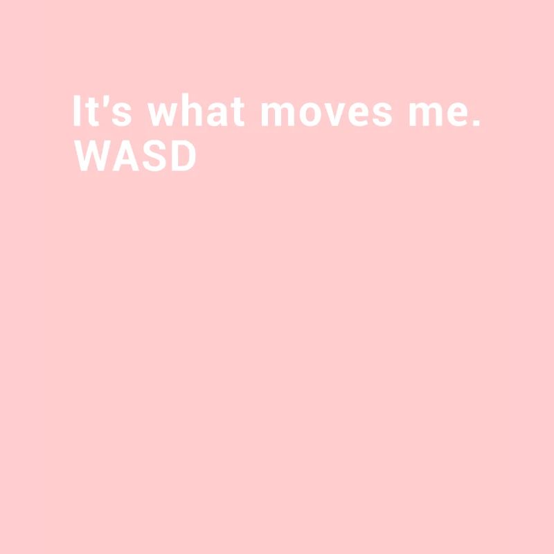 WASD C’est ce qui me touche - Streaming Computer Gamer