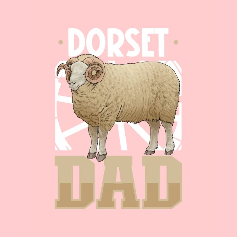 Dorset-Fleischschaf Papa
