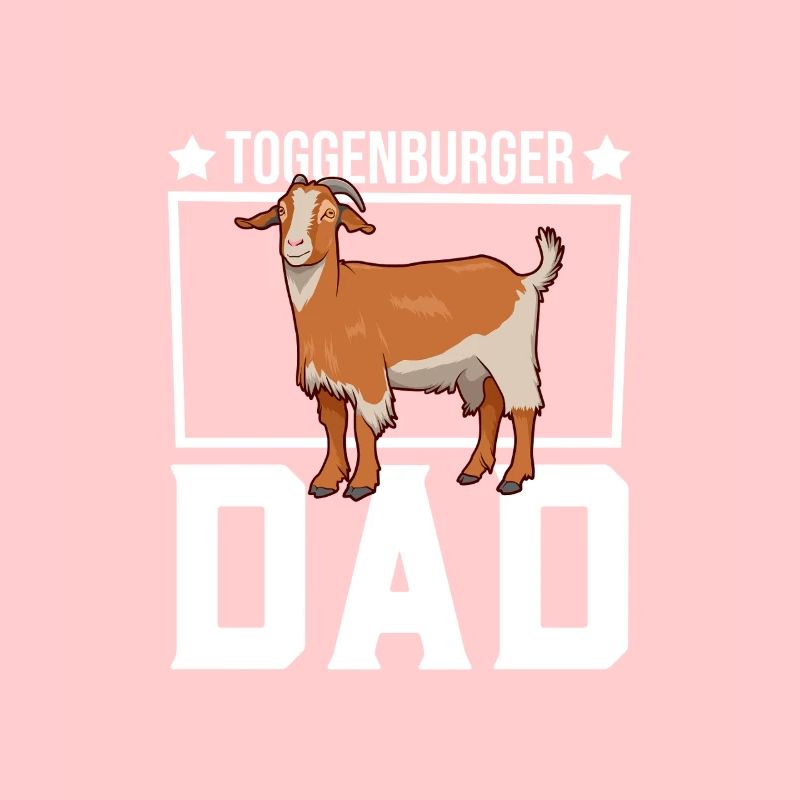 Papa einer Toggenburger Ziege