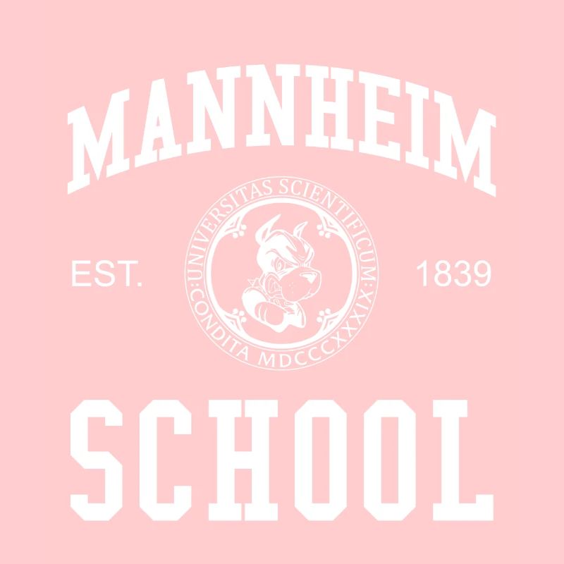 Mannheim School Universität Hochschule University