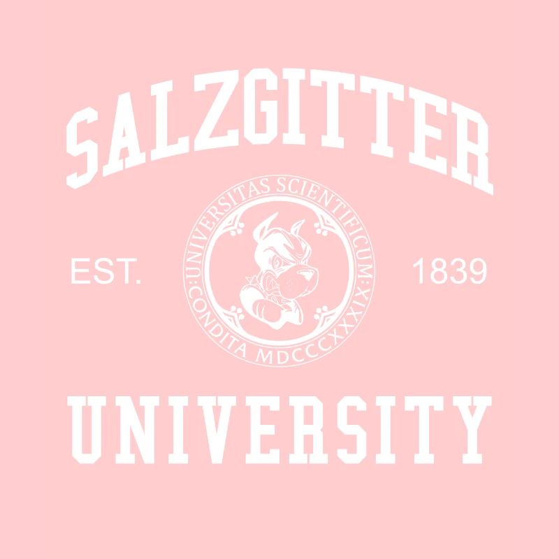 Université de Salzgitter Université des sciences appliquées