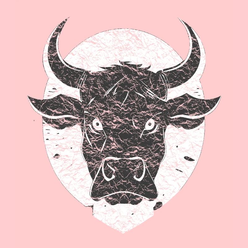 Wütender Bulle Stier