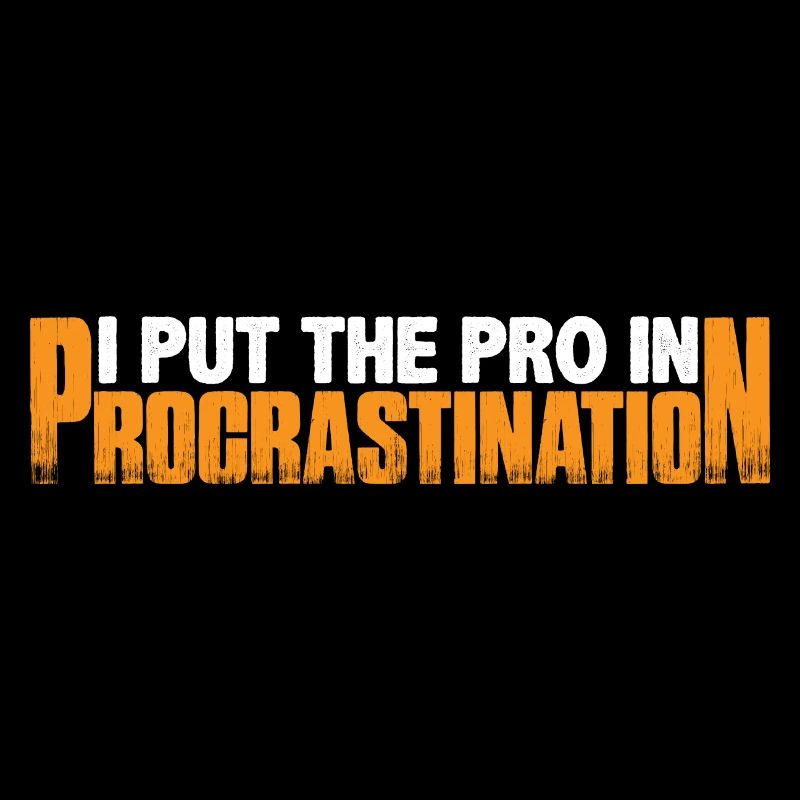 Je mets le pro dans la procrastination 23