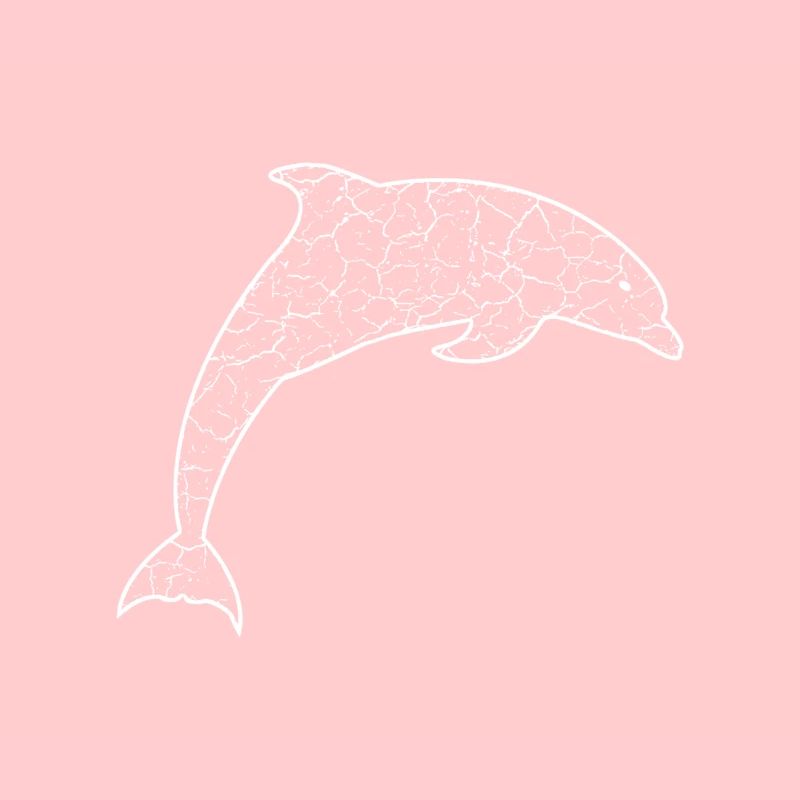 Delfin dolphin