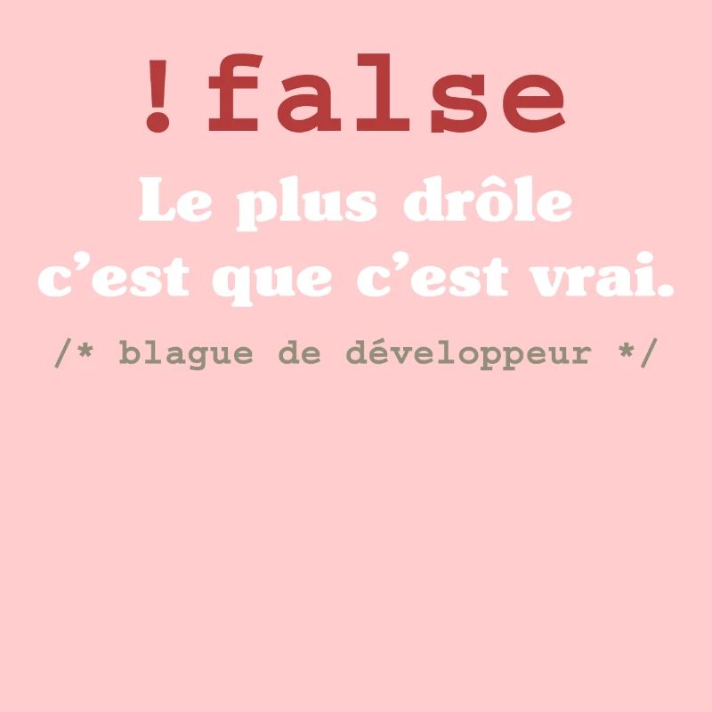 Blague programmeur développeur codeur informatique