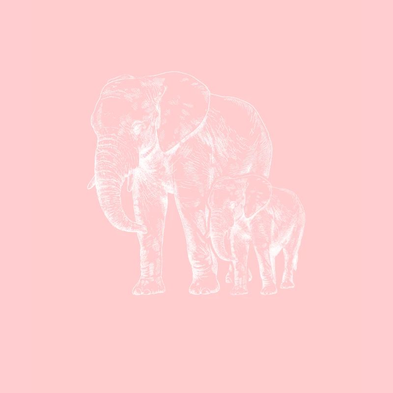 Elefant