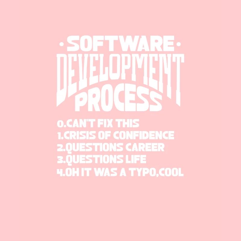 Softwareentwickler Programmierer Software