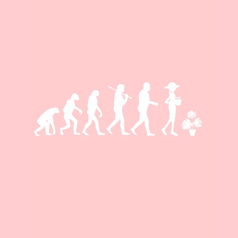 Evolutionsgeschenk Pflanzen