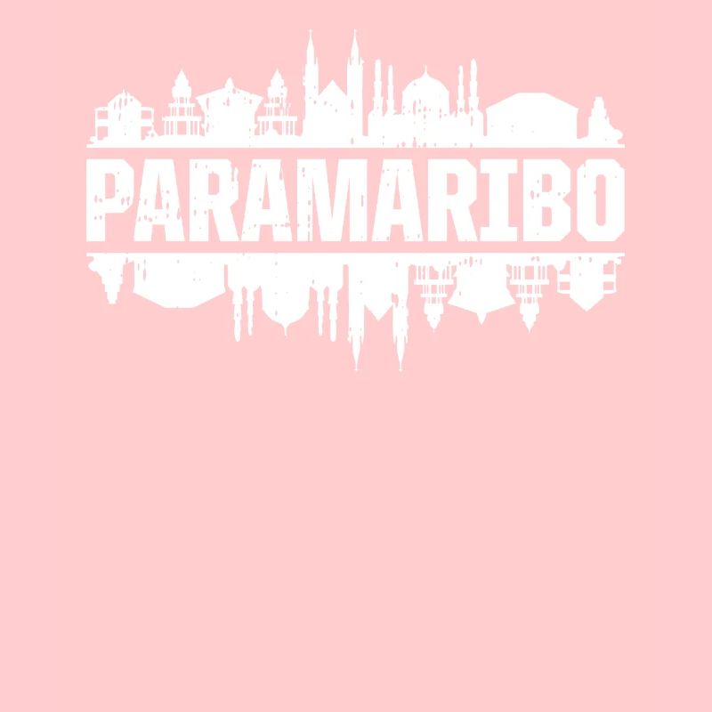 Paramaribo Skyline