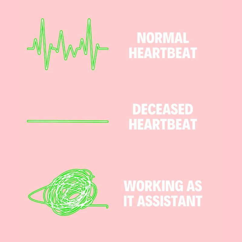 IT Assistant Worker IT Computer