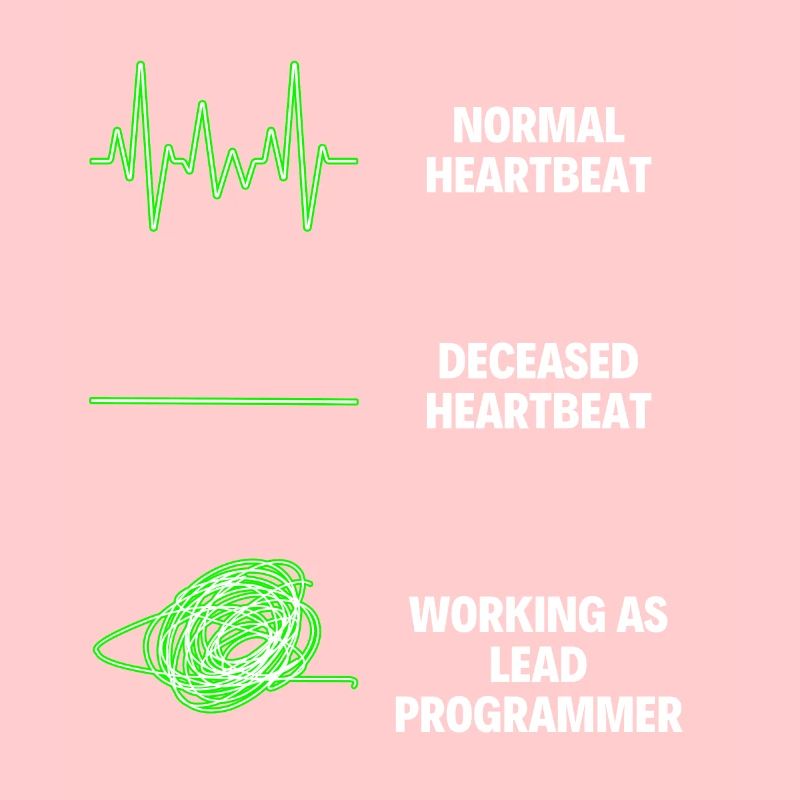 Lead Programmer Worker Funny Programmer