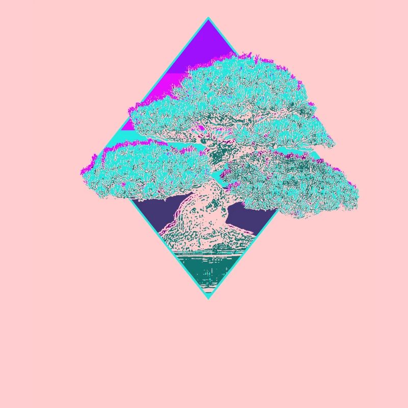 Bonsai Baum