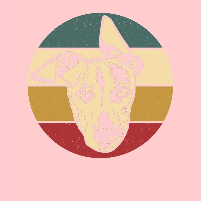 Whippet