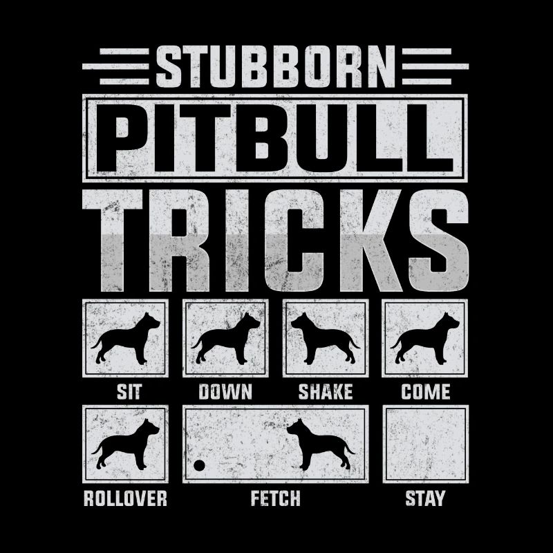Stubborn pitbull tricks