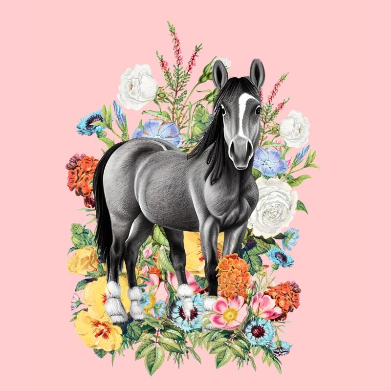 Fleurs de cheval