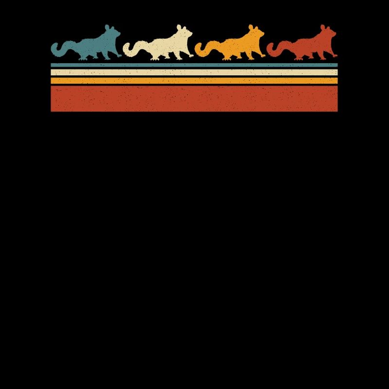 Sugar Glider Flughörnchen