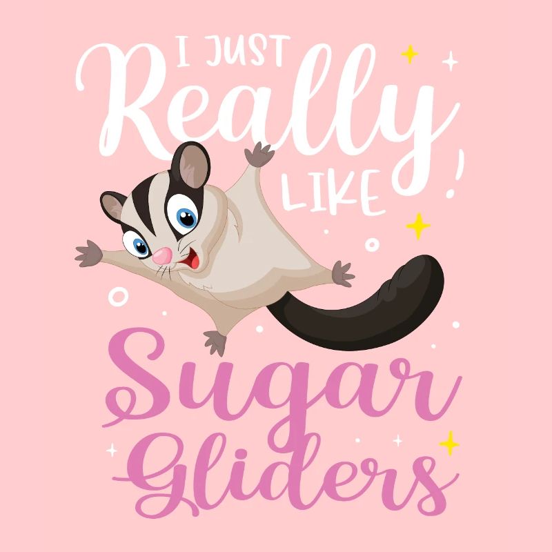 Sugar Glider Flughörnchen