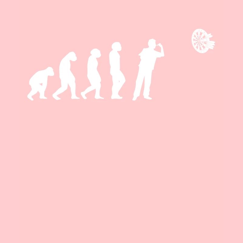 Darts Dartscheibe Dartpfeile Dartspiel Evolution