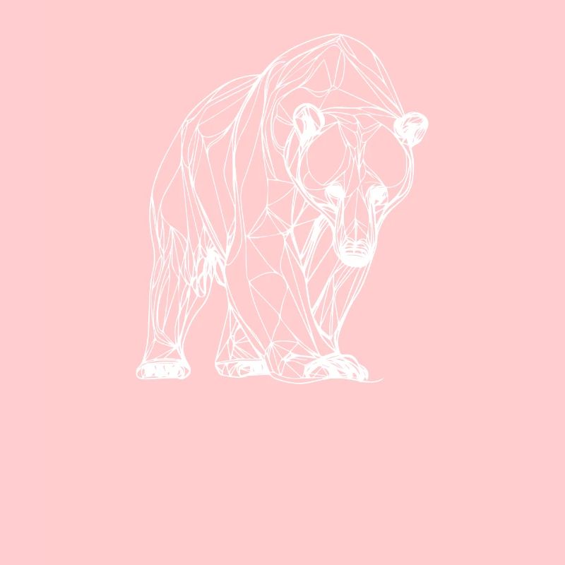 Grizzli Ours brun