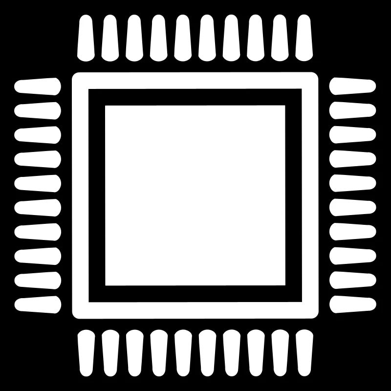 Chip