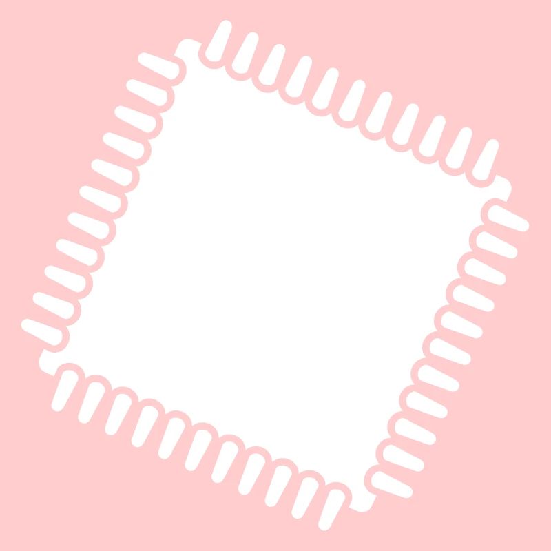 chip
