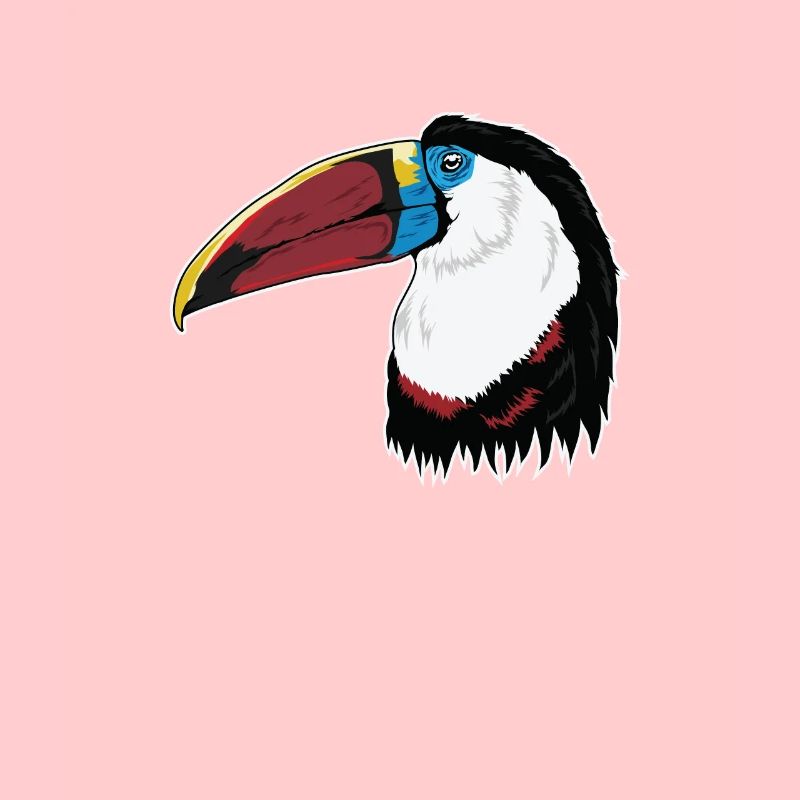 Weißbrusttukan Tukan-Vogel