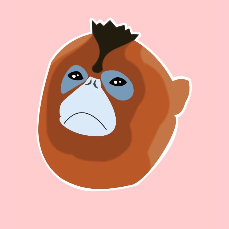 Espèce de singe singe à nez de souche