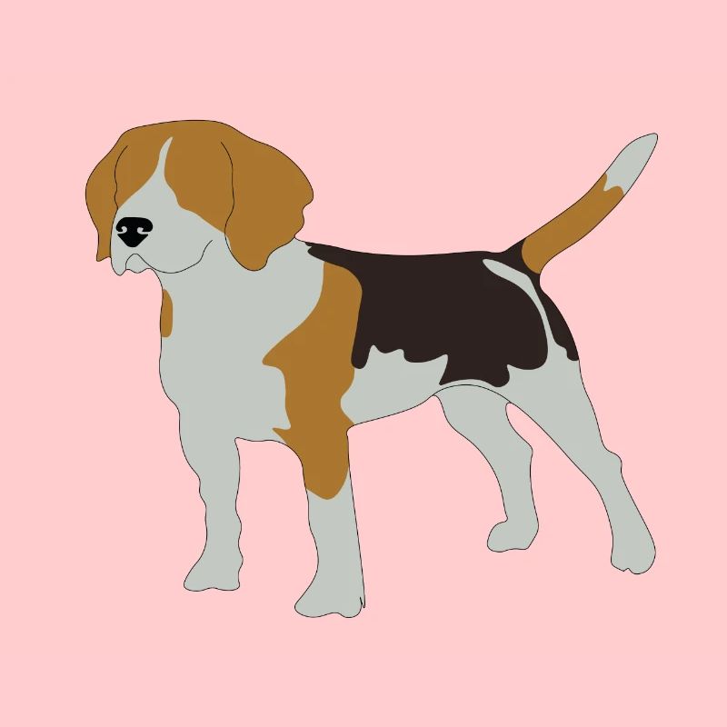 beagle