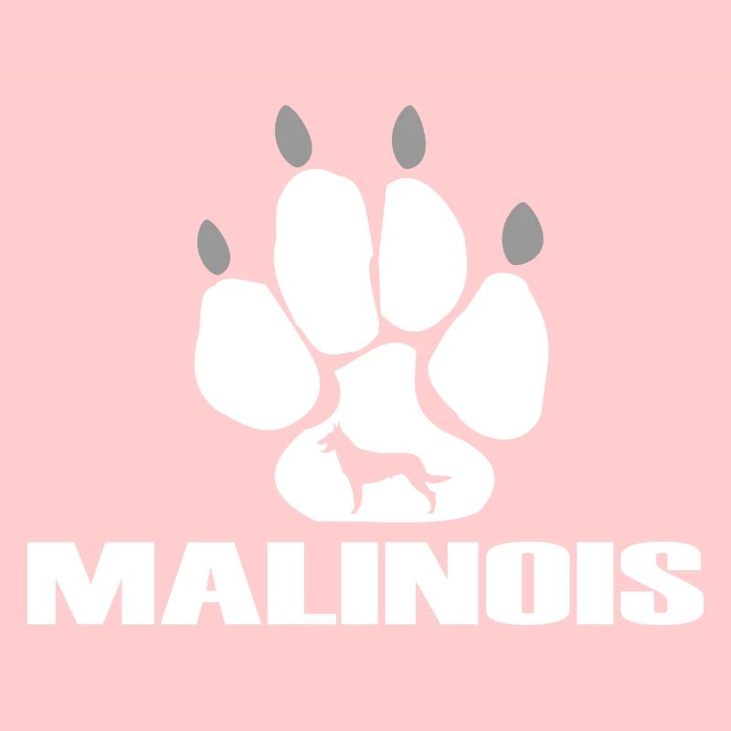 Malinois Belgian Shepherd dogs paw
