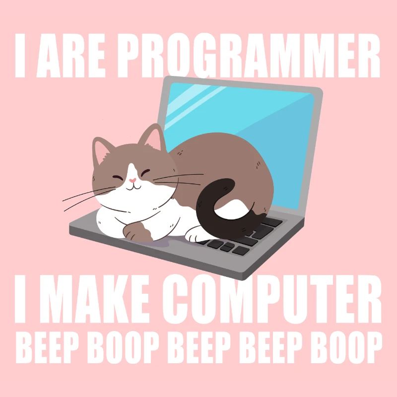 Je suis programmeur