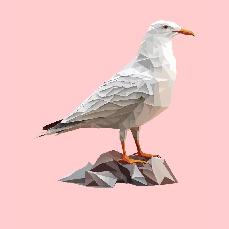 Polygon Möwe auf Felsen