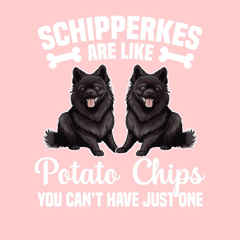 Les Schipperkes sont comme des chips que vous