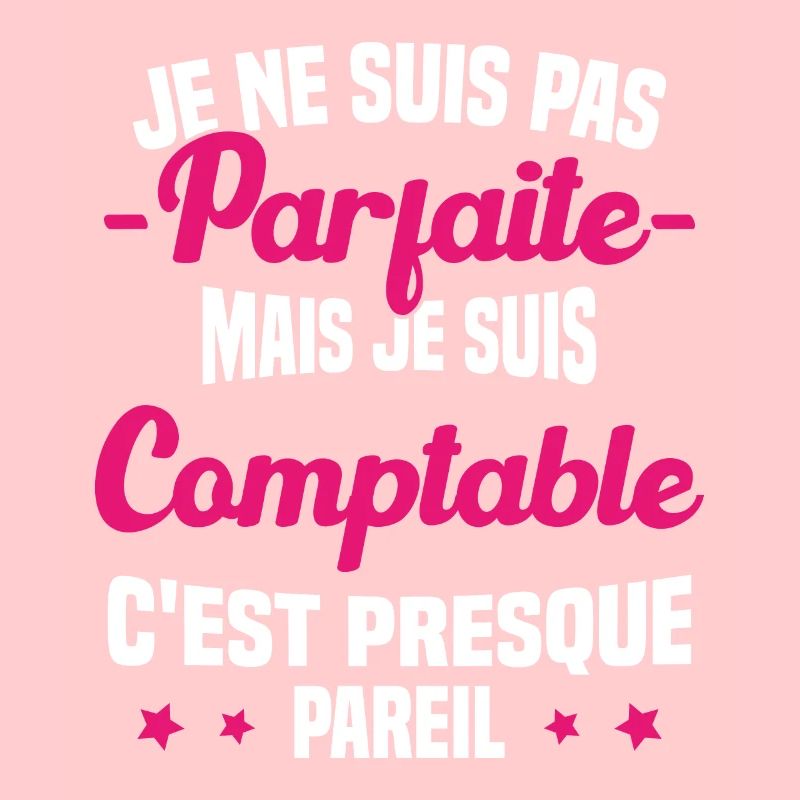 Pas parfaite mais je suis Comptable Humour Cadeau
