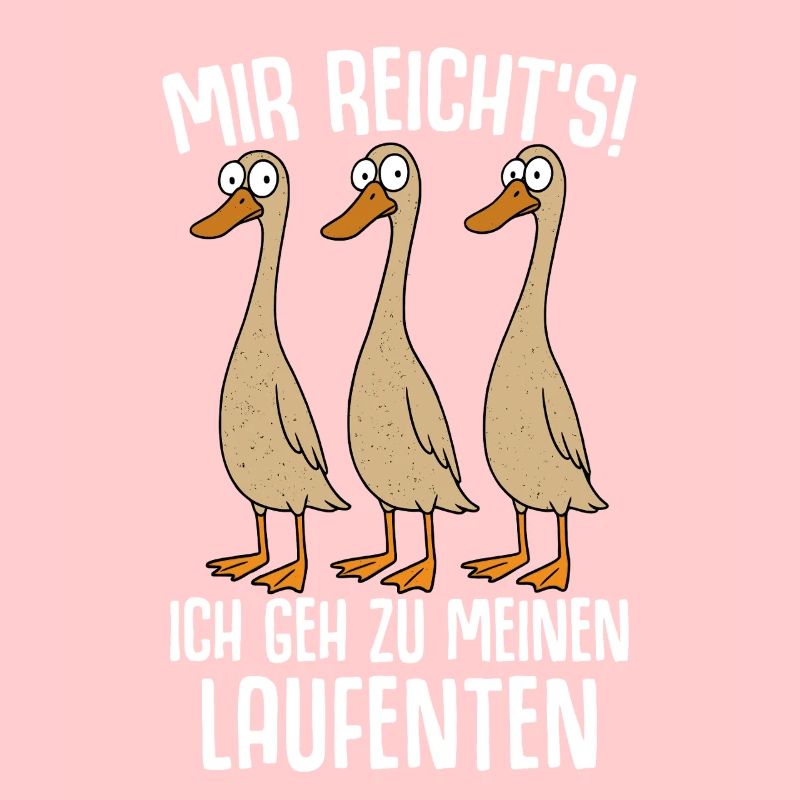 Canards Papa Canard Canards Maman Élevage de canards