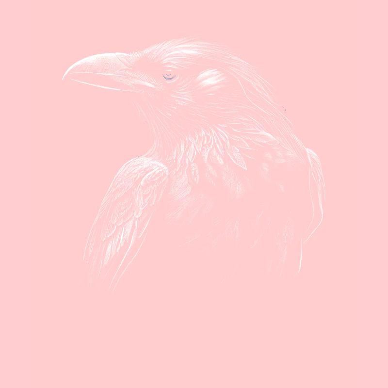 Gothic Moon Black Crow