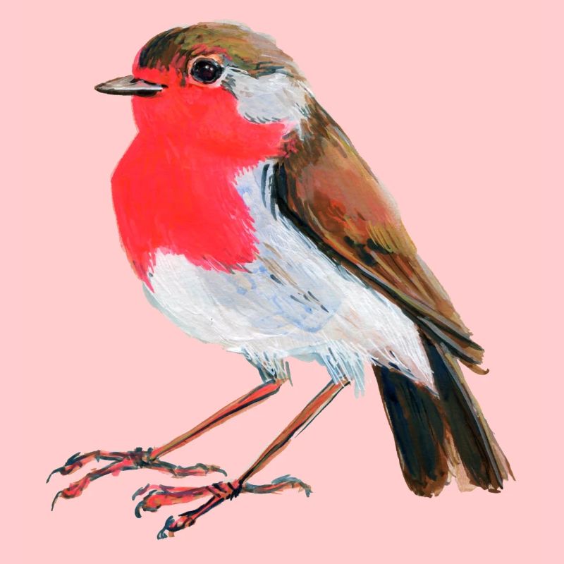 Rouge-gorge