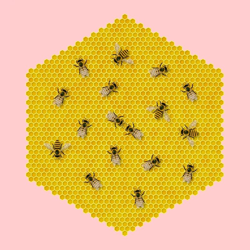 ABEILLES, RUCHE